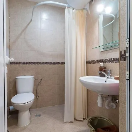 Stylish Wooden 1-bdr - Central بلوفديف